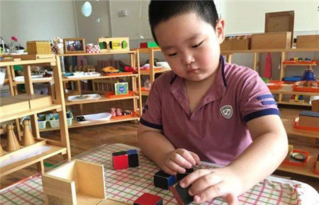 如何培养孩子的意志力家长心得