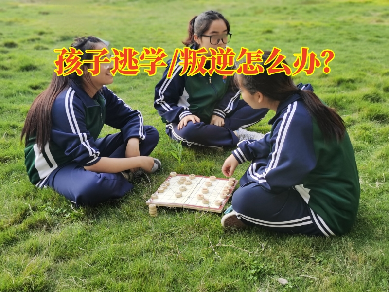 三招教您解决孩子逃学问题，厌学孩子转变学校
