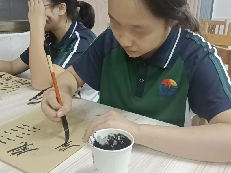 开展书法教育，领略文化之美，新起点教育专门学校