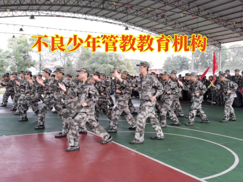 不良少年管教教育机构，不良少年管教教育机构分析孩子不懂感恩的影响
