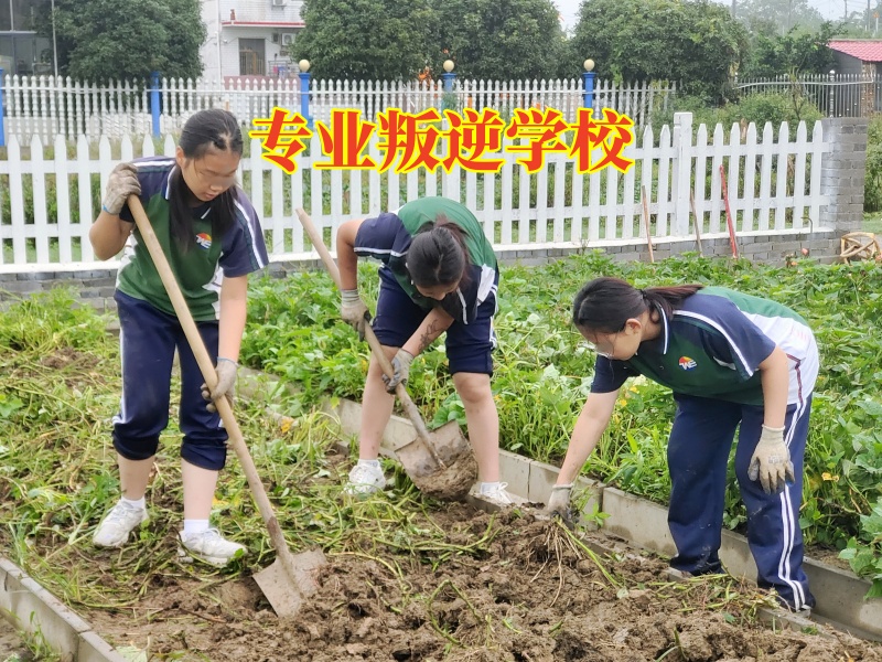 专业叛逆学校，专业叛逆学校帮助矫正孩子离家出走