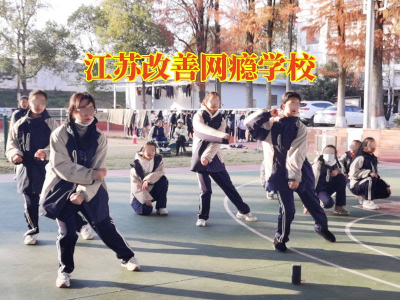 江苏改善网瘾学校，江苏改善网瘾学校对孩子沉迷手机的原因分析