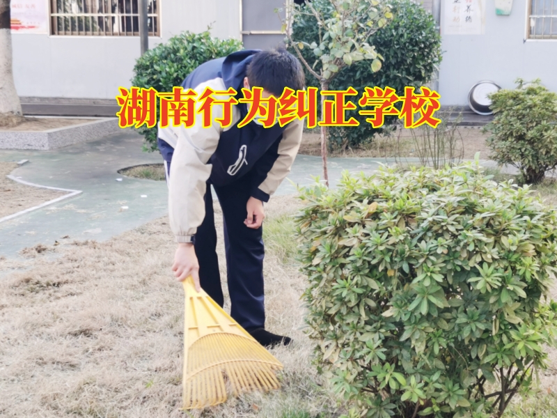 湖南行为纠正学校，湖南行为纠正学校改变孩子写作业拖拉