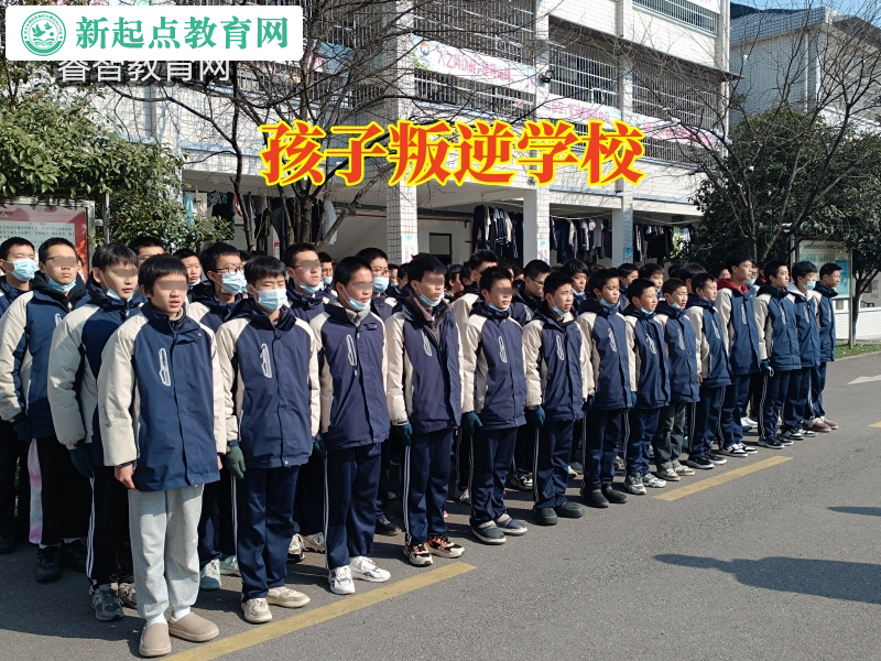 孩子叛逆学校，孩子叛逆学校针对孩子网络色情的三个建议