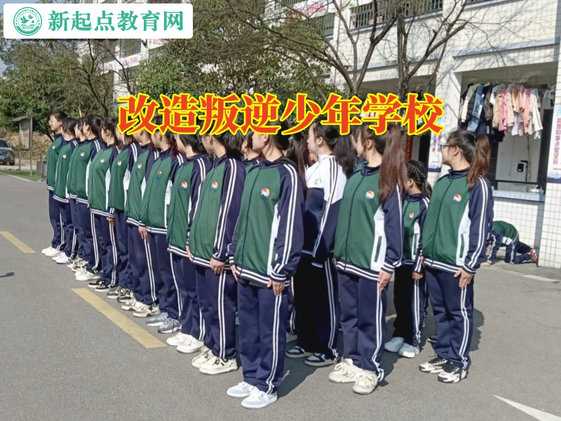 改造叛逆少年学校，改造叛逆少年学校如何劝阻孩子打架