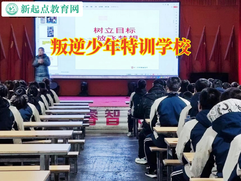 叛逆少年特训学校，叛逆少年特训学校学费