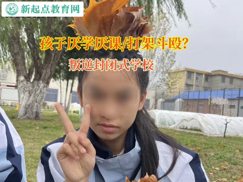 叛逆封闭式学校矫正孩子不爱写作业这个恶习