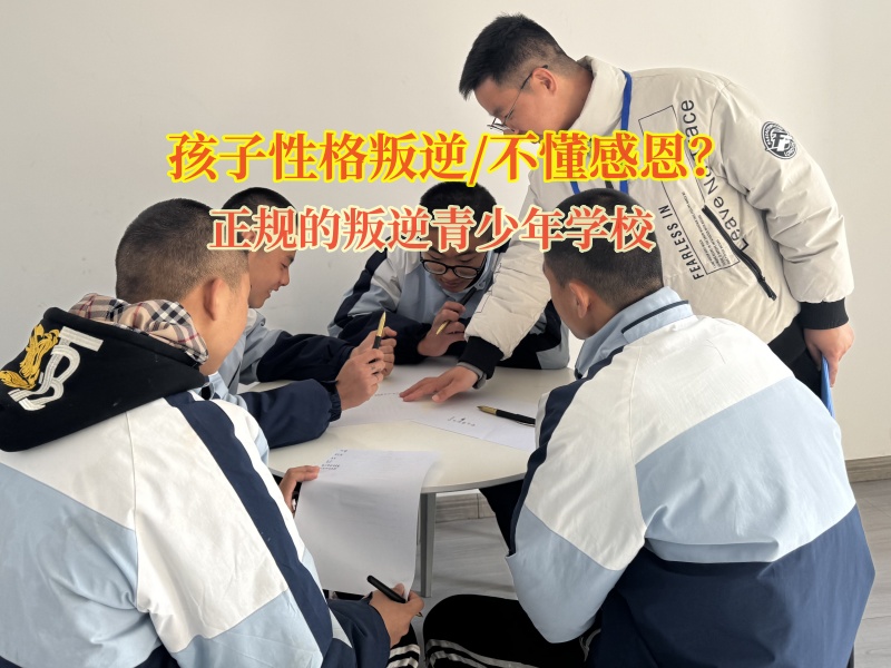 正规的叛逆青少年学校培养孩子的感激之情